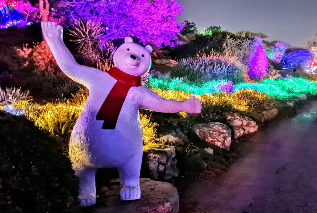 ממלכת השלג צילום תום עמית