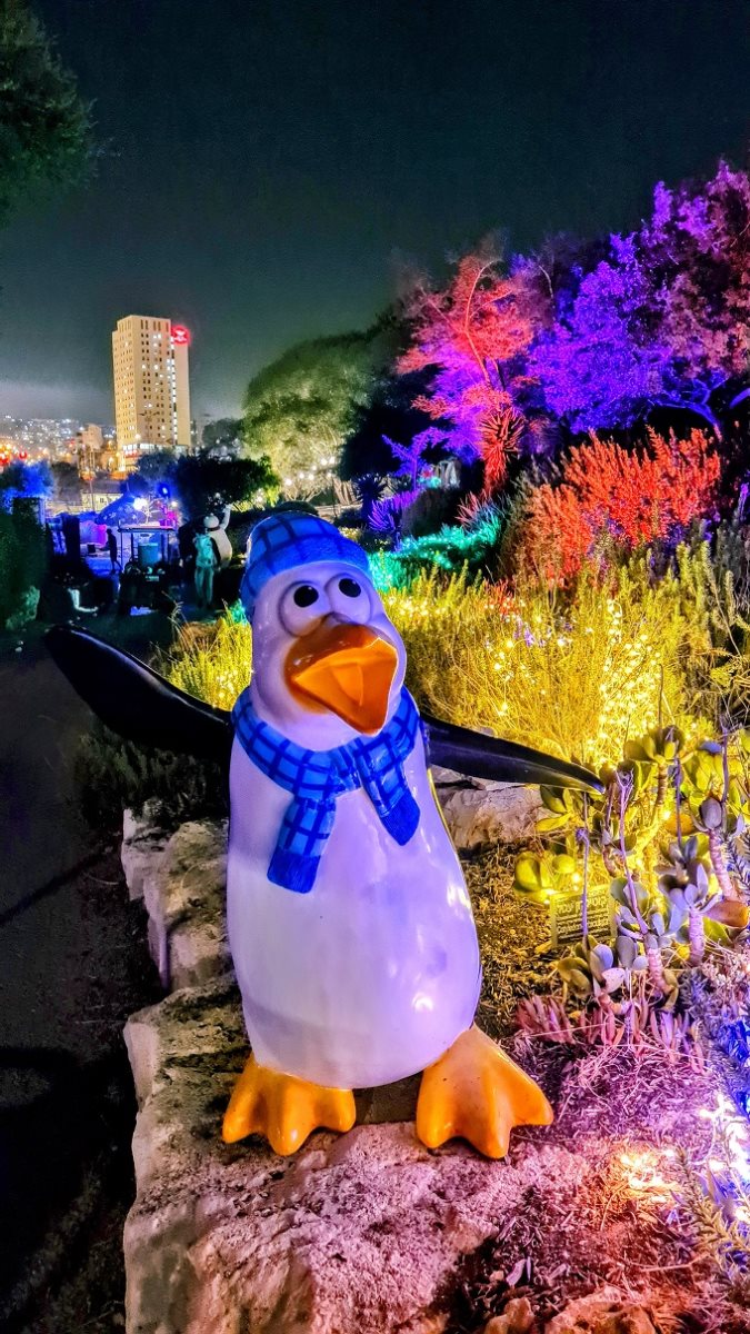 צילום תום עמית 