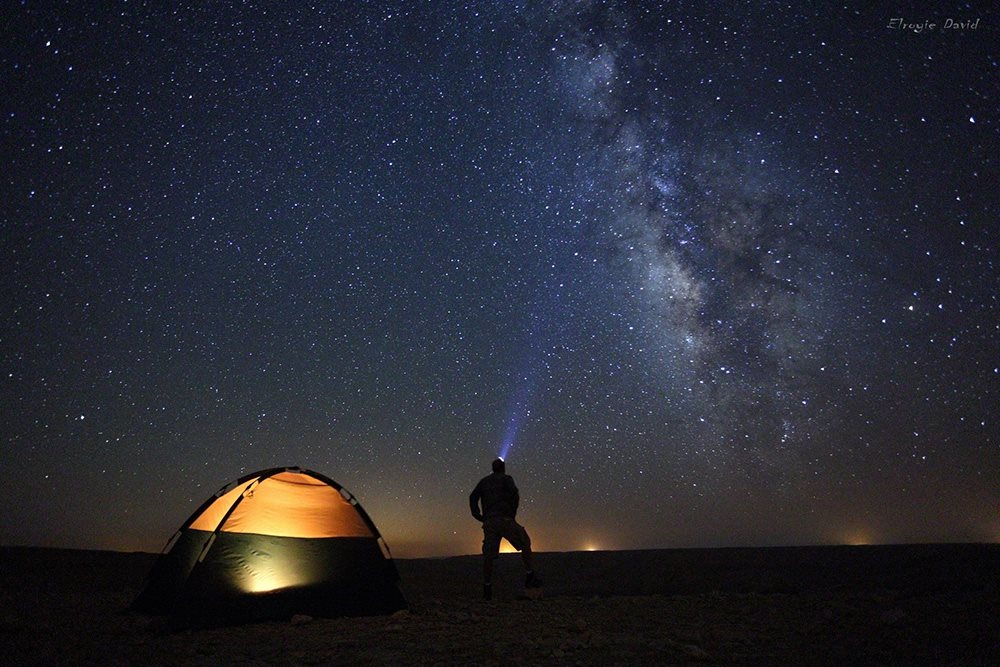 צילום אלרואי דויד