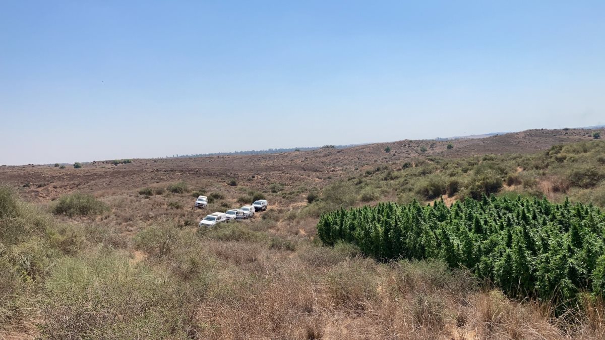 דוברות משטרה