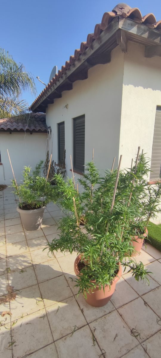 דוברות משטרה