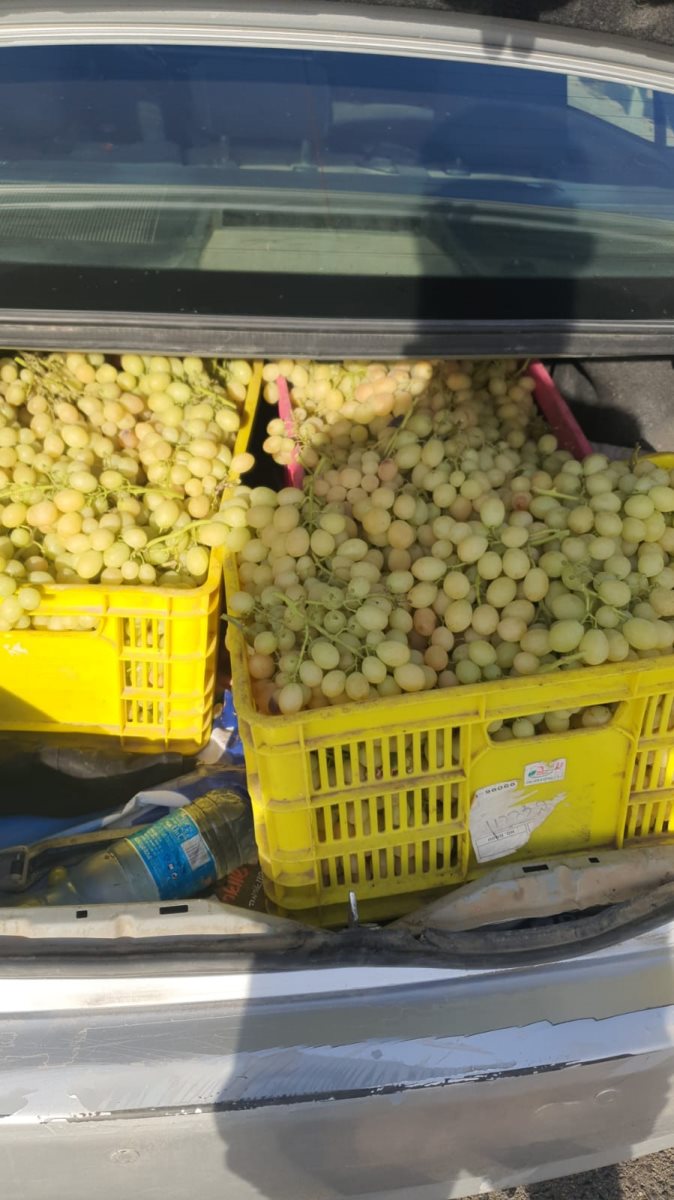 צילום דוברות משטרה