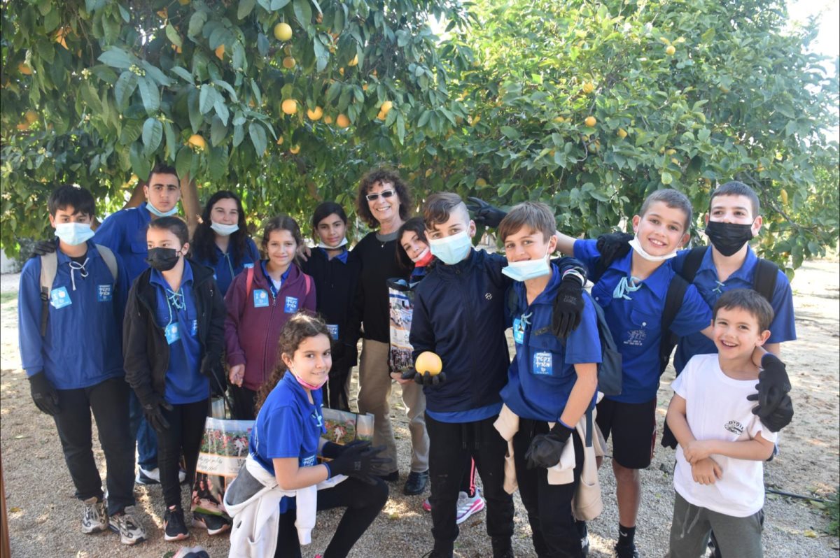 פרויקט העץ הנדיב צילום תמר קרן יא ביצרון