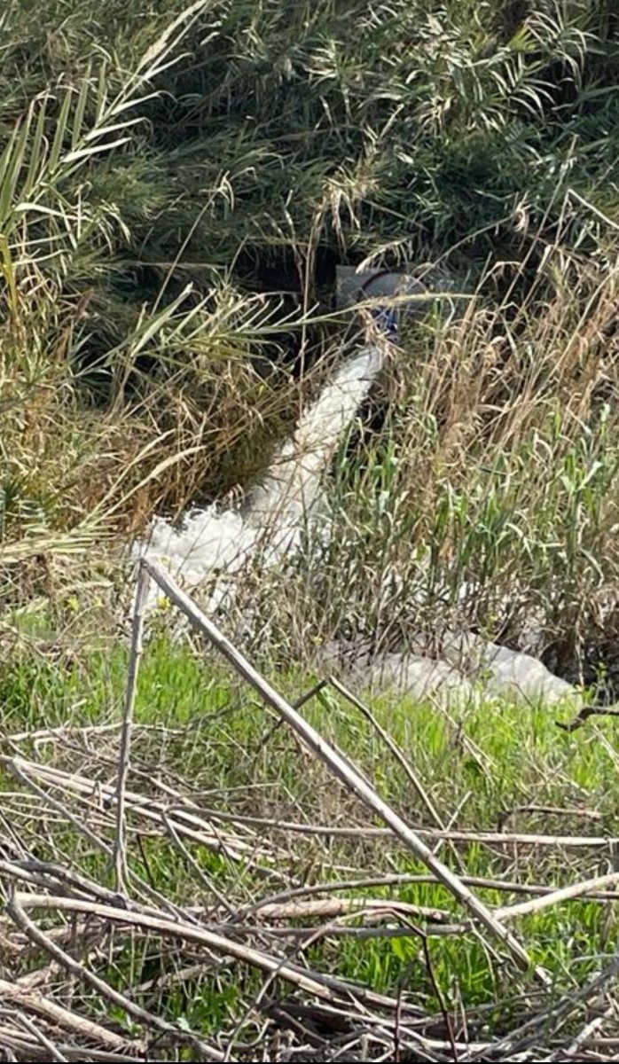 צילום מתוך עמוד הפייסבוק של עדי קלנג