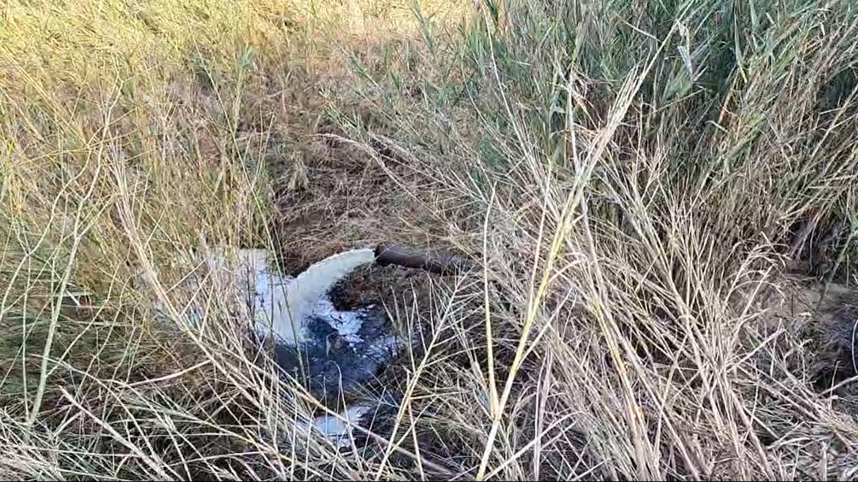 צילום מתוך עמוד הפייסבוק של עדי קלנג