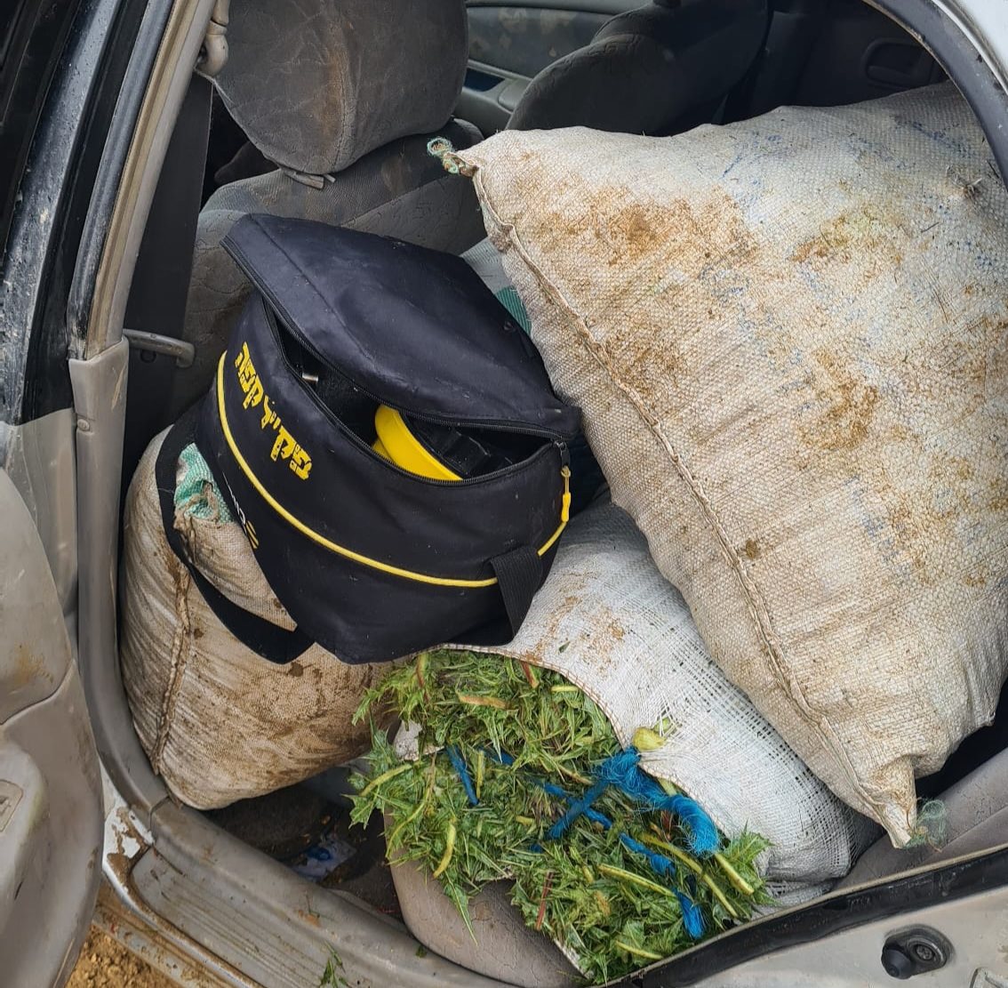 דוברות משטרה