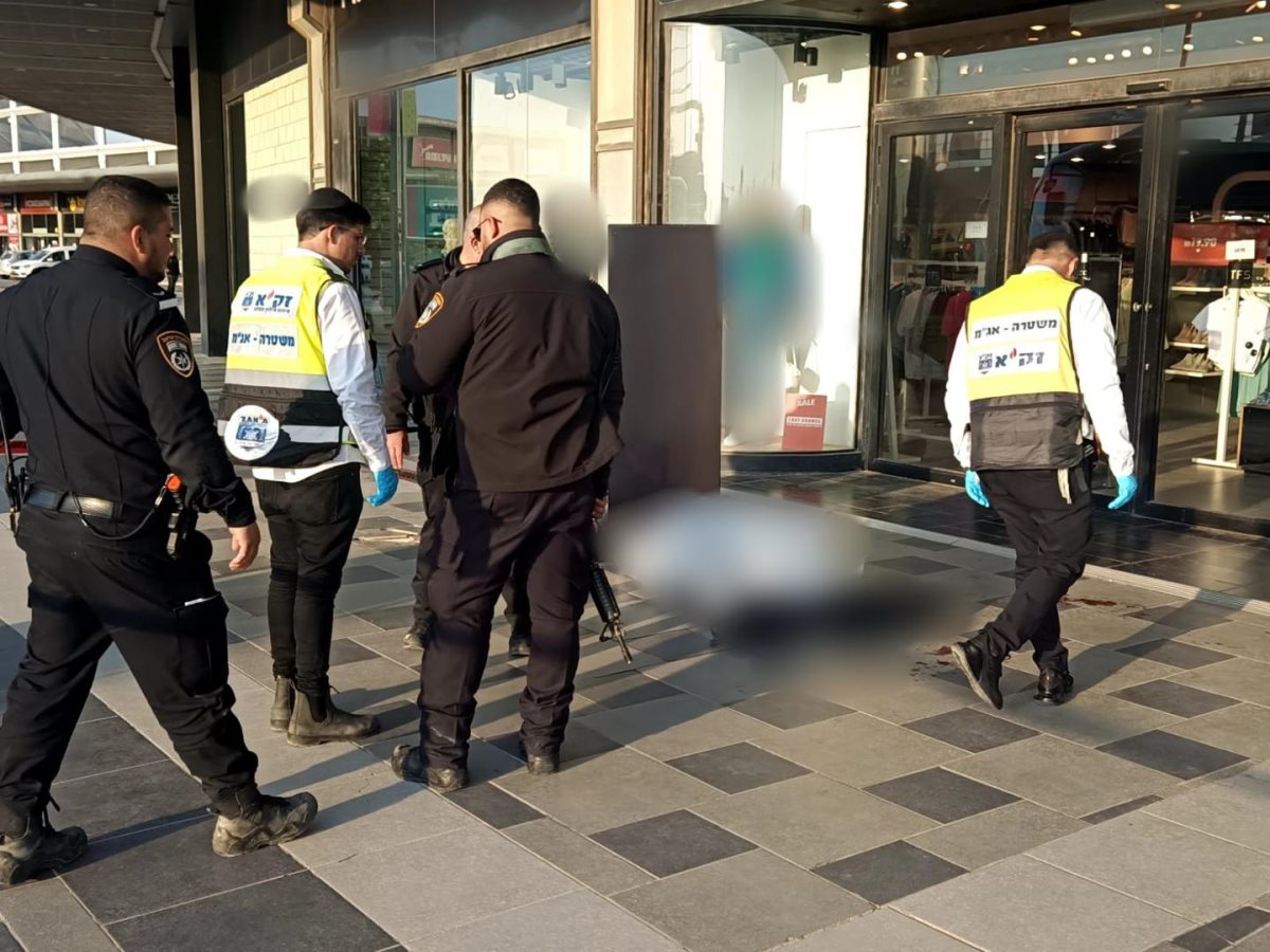 קרדיט - זק"א