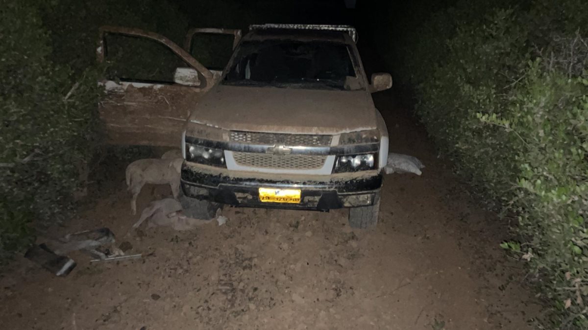 דוברות משטרה