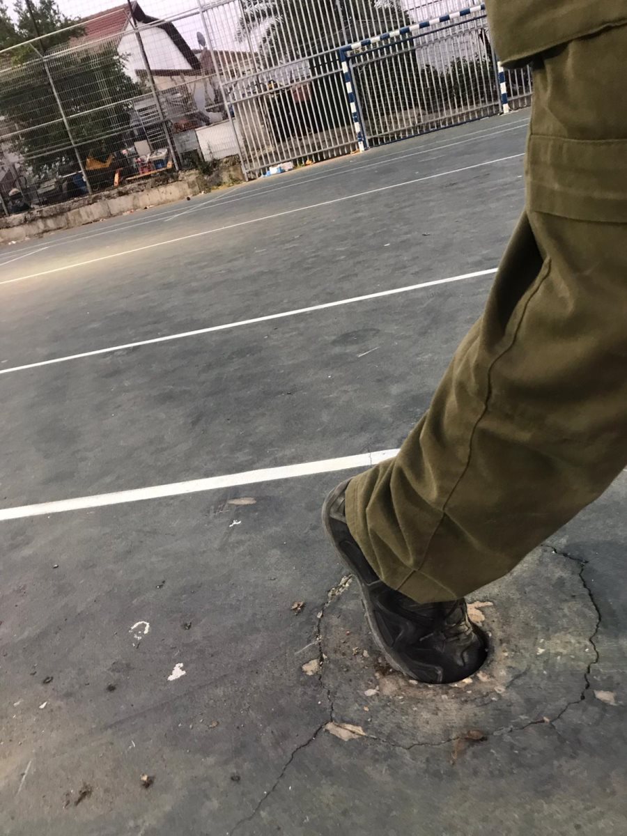 קרדיט לצילום שרון וילק