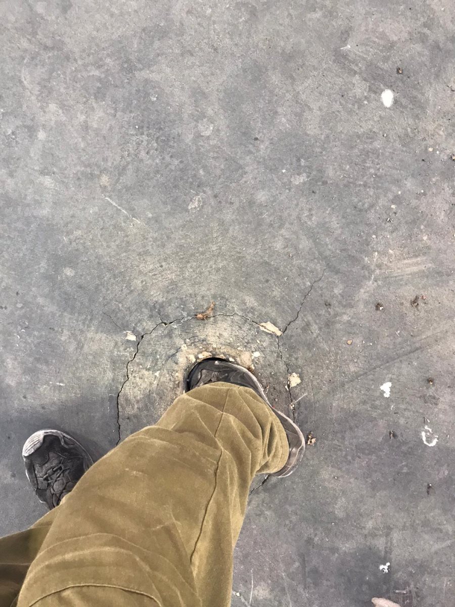 קרדיט לצילום שרון וילק