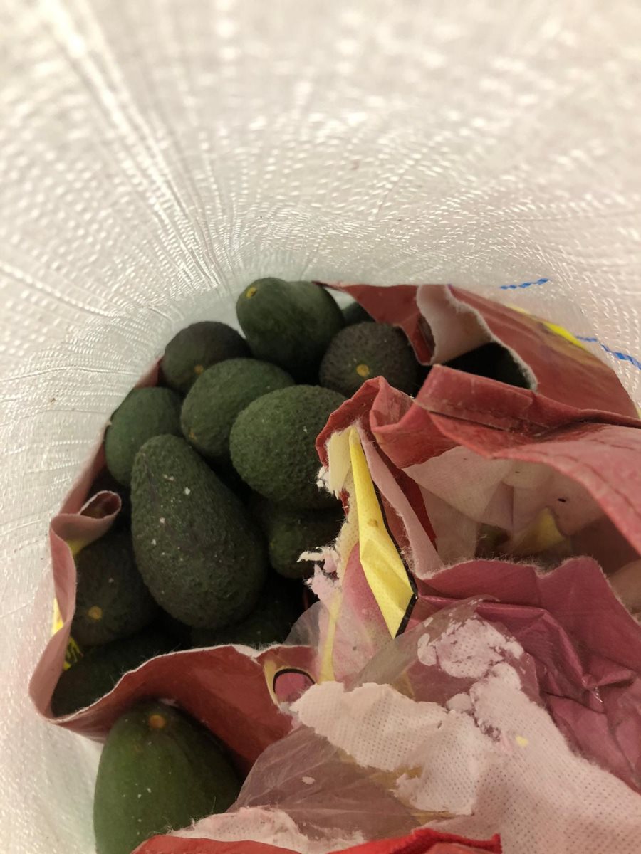 דוברות משטרה