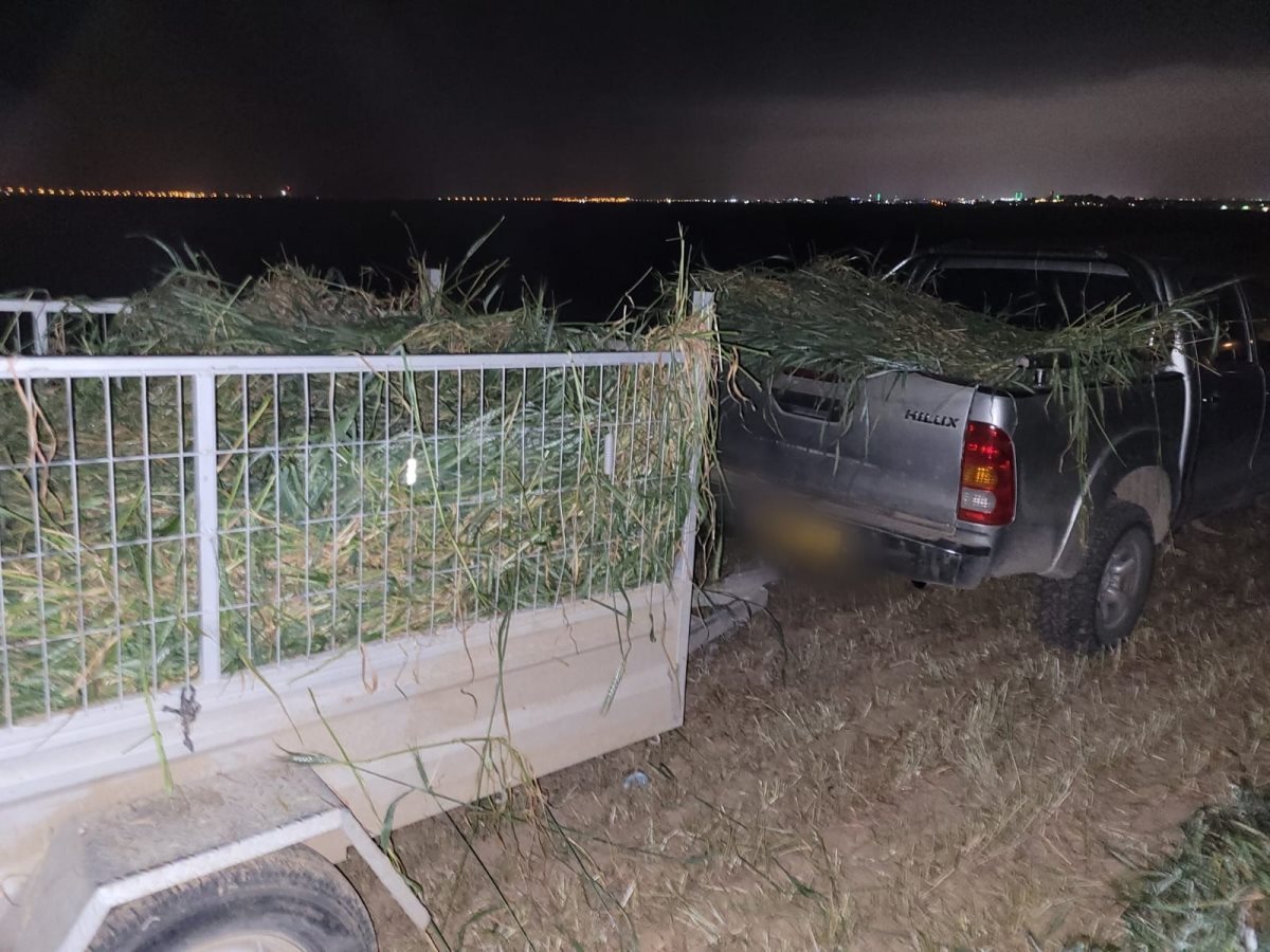 דוברות משטרה