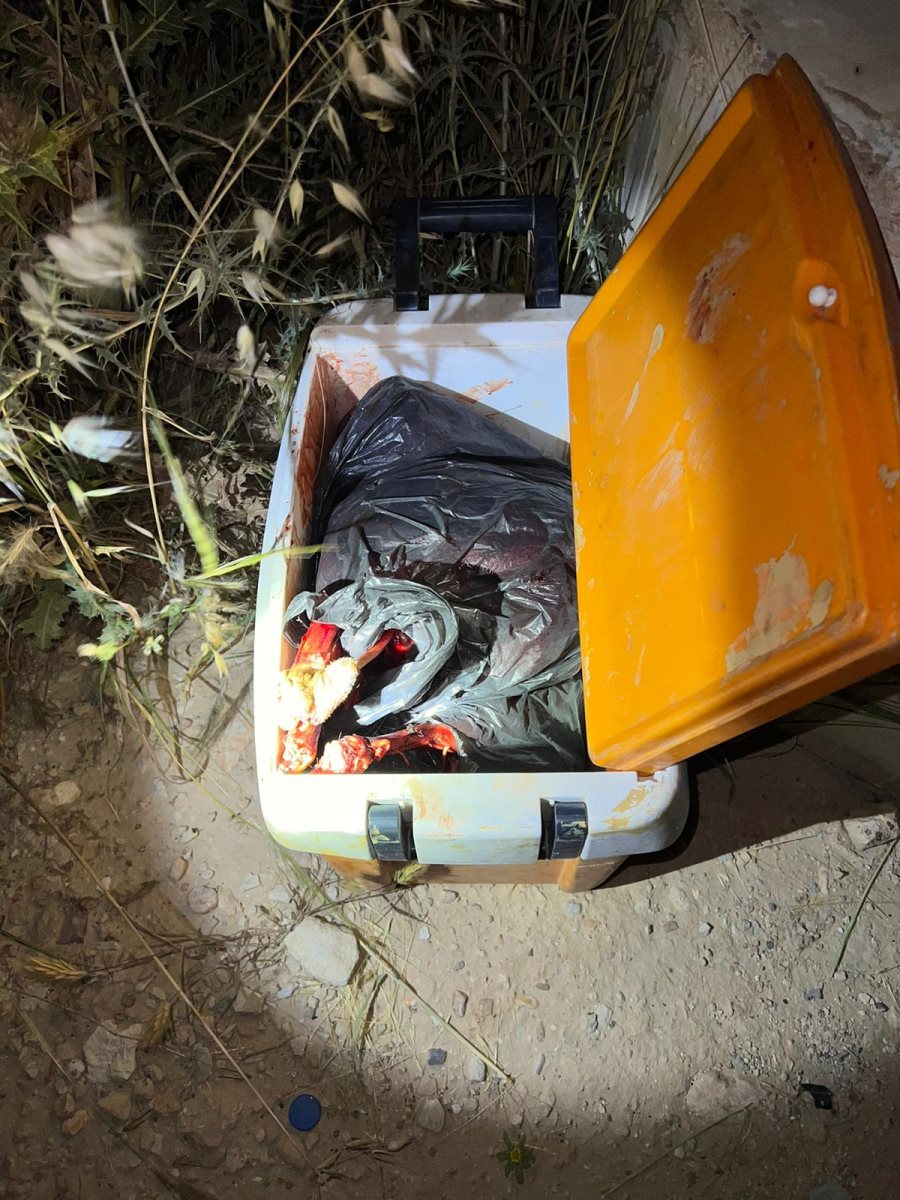 דוברות משטרה 