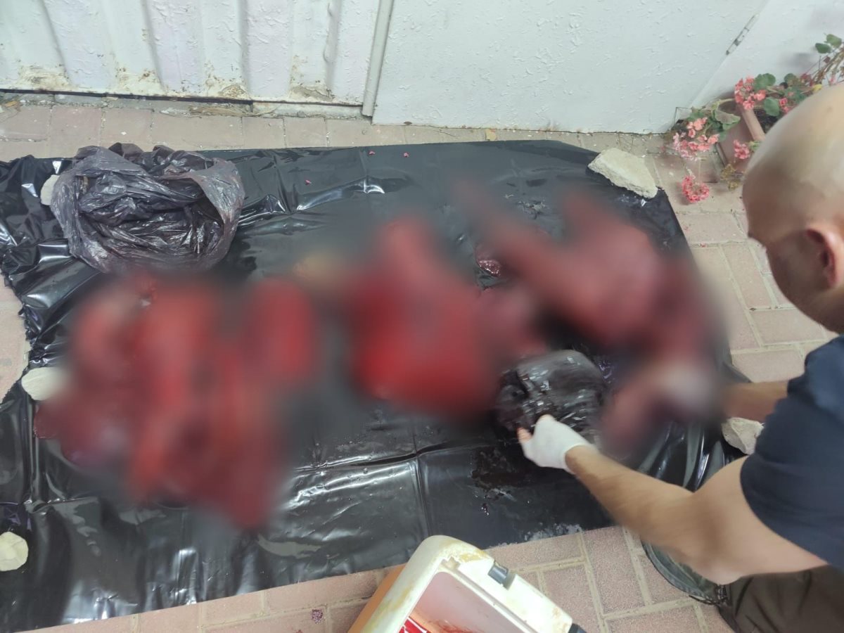 דוברות משטרה 