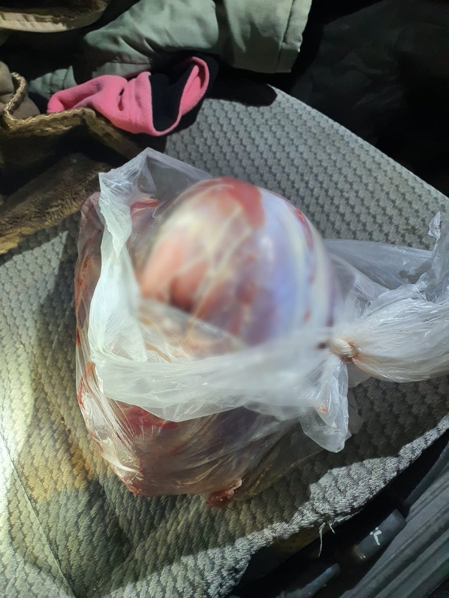 צילום דוברות משטרה