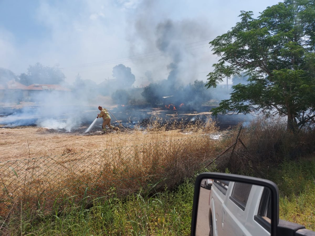 צילום אבי שאול