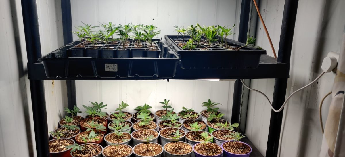 מעבדת סמים דוברות משטרה