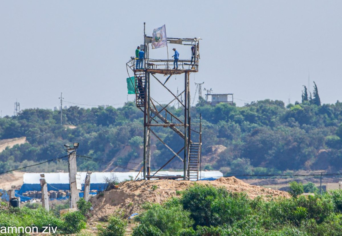 צילום אמנון זיו