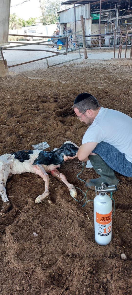 צילום איחוד הצלה