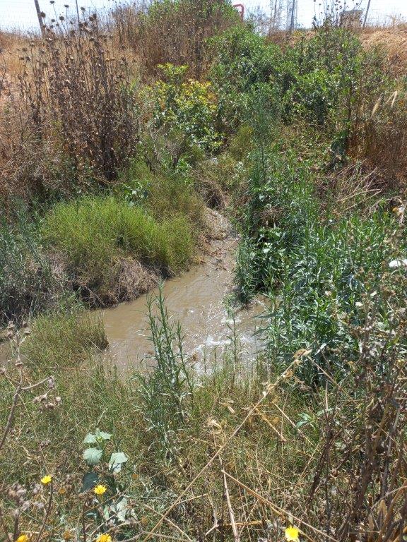 צילום חגי בלכנר המשרד להגנת הסביבה