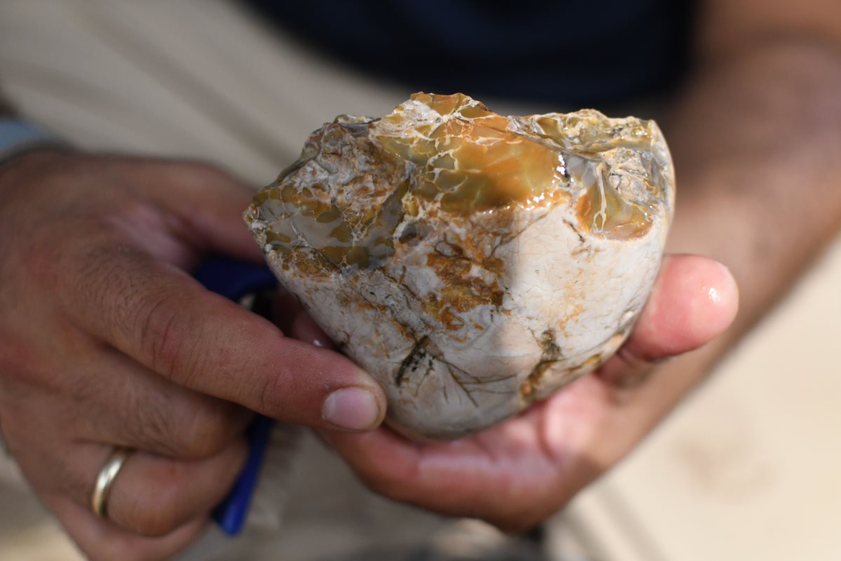 החט כפי שנתגלה בתחילה באתר. צילום: יולי שוורץ, רשות העתיקות