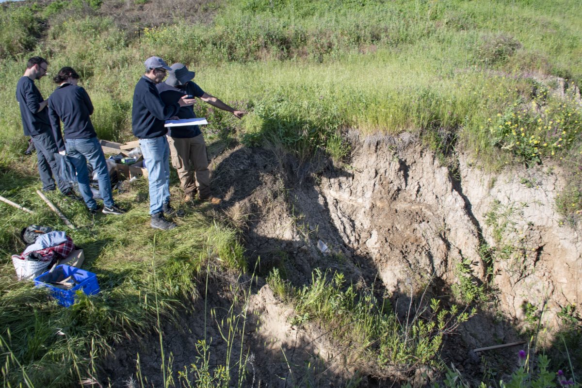 החט כפי שהתגלה בשטח.צילום יולי שוורץ רשות העתיקות