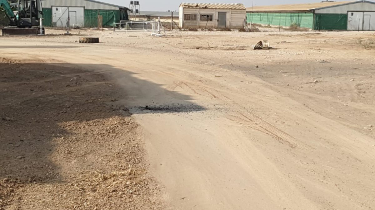 דוברות אשכול