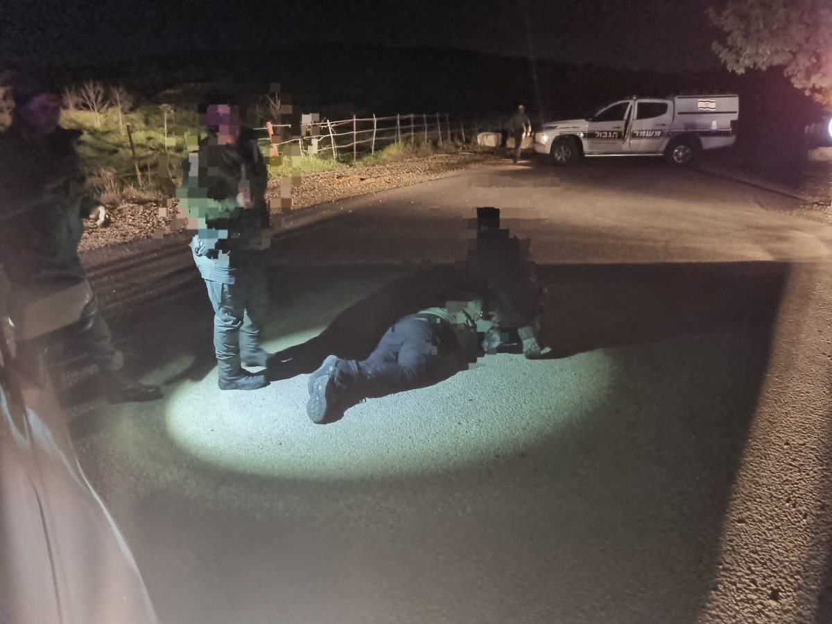 דוברות משטרה 