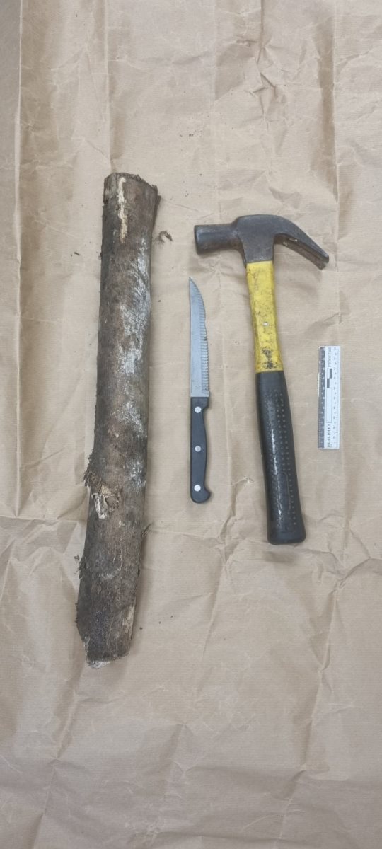 צילום דוברות משטרה