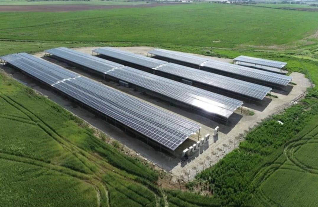 The Greater Light&quot;דניאל ביטון, אי.די. איי&quot;