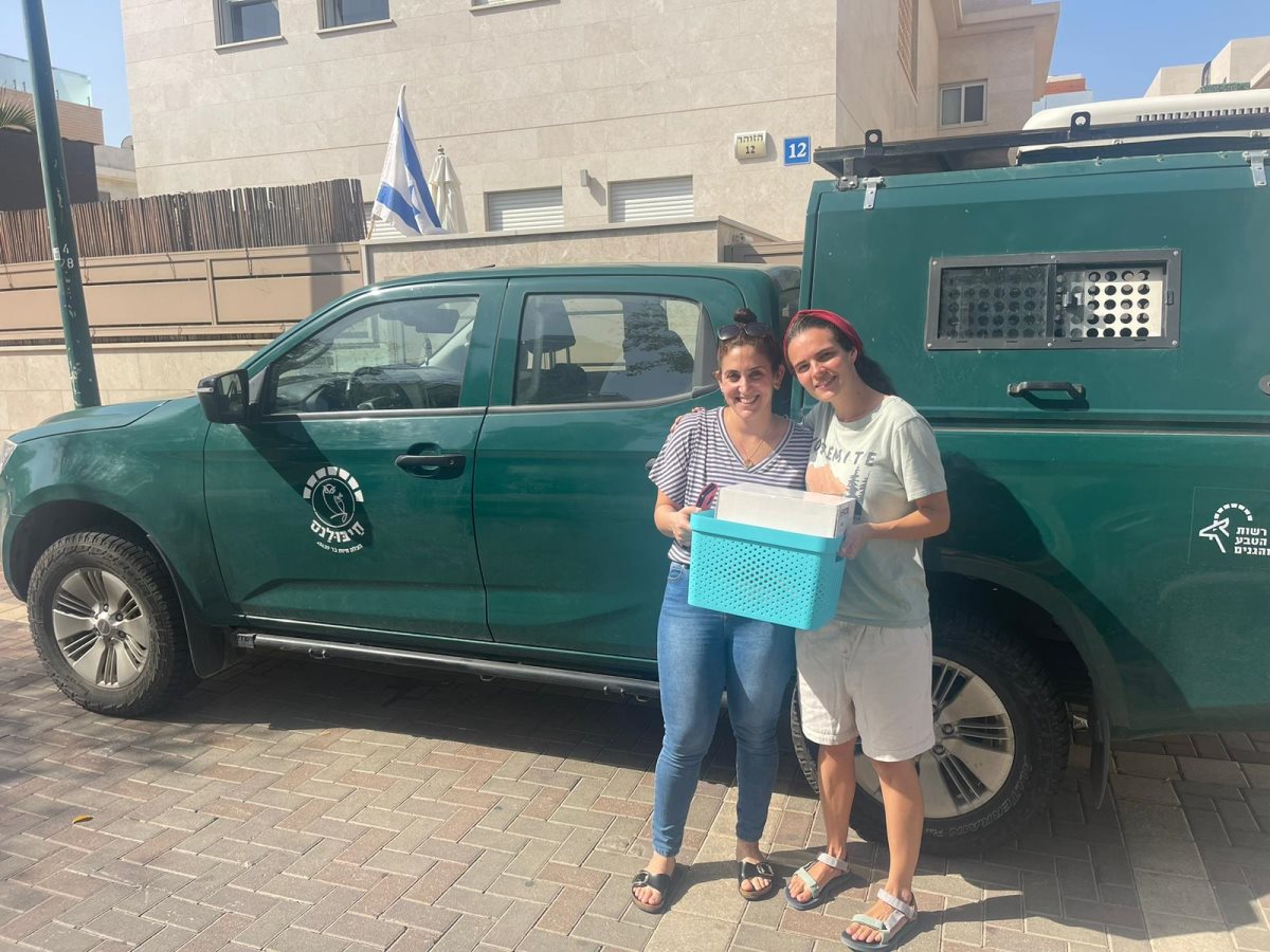 צילום אילנה דקל