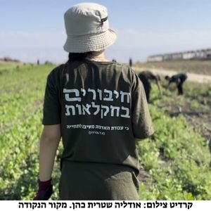   &quot;חיבורים בחקלאות&quot; חנוכה 2023 מתנדבים בפעילות משפחתית נהנים ומסייעים לחקלאים 