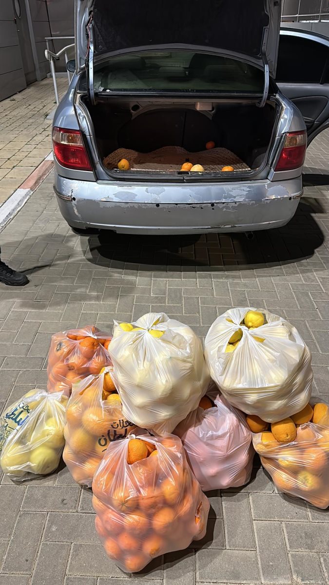 דוברות משטרה 