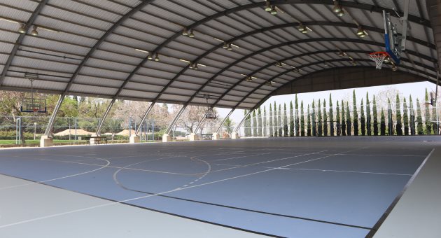 דוברות יואב