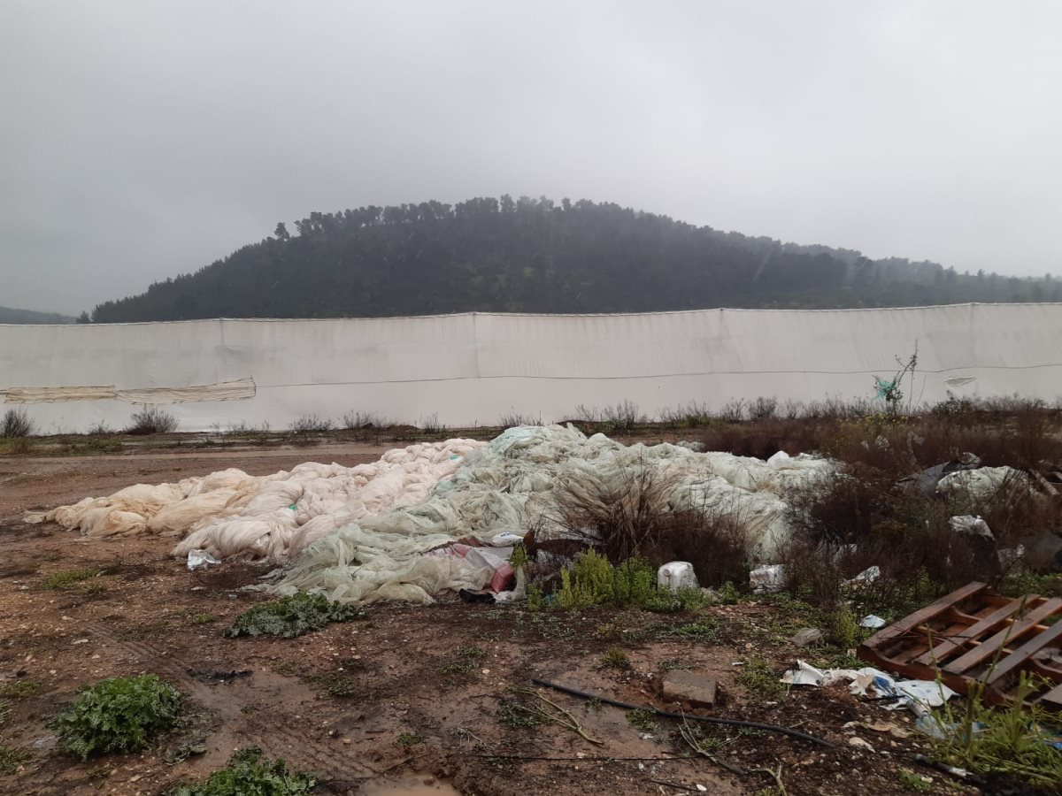 המשרד להגנת הסביבה 