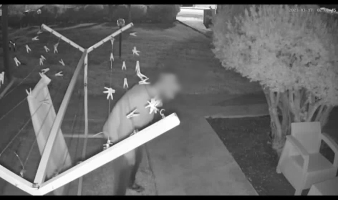 דוברות משטרה 