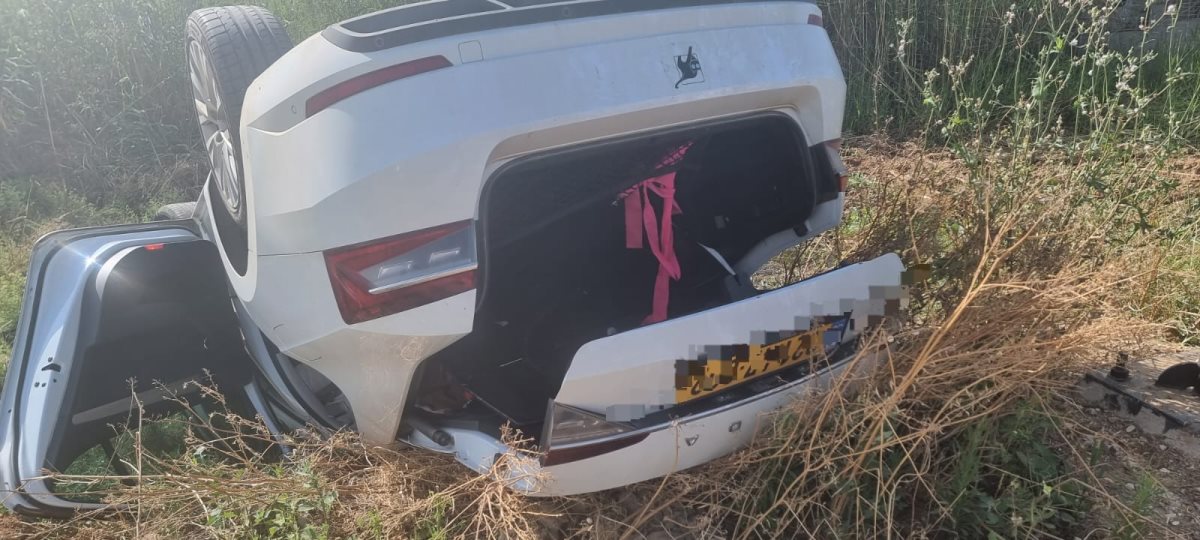 צילום שיטור קהלתי