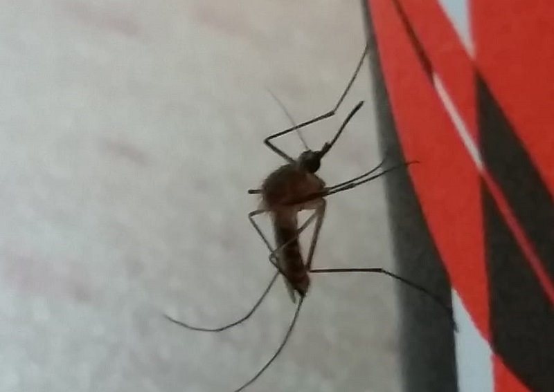 צילום: הגר סבטי