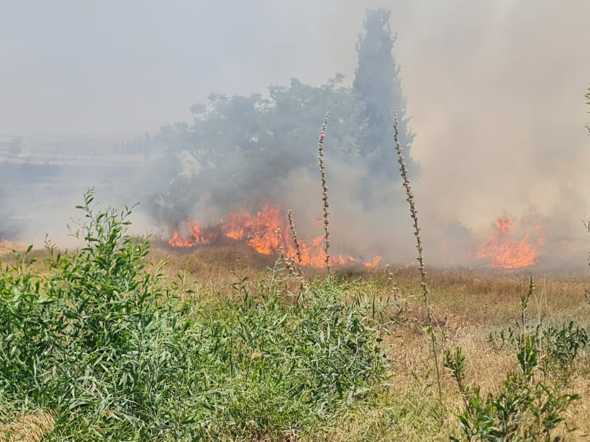 קרדיט: דוברות והסברה חוף אשקלון