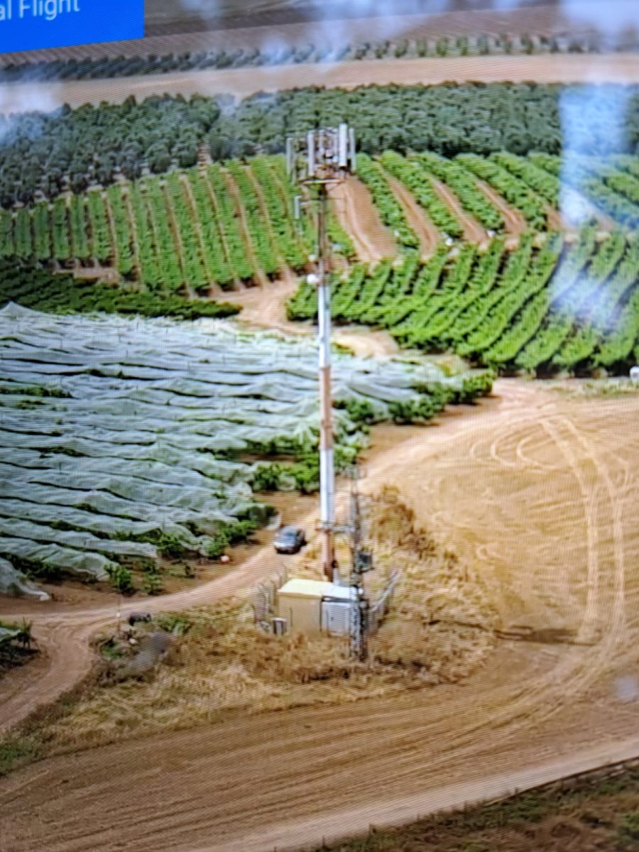 צילום דוברות משטרה