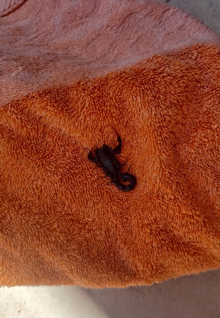 צילום באדיבות המשפחה