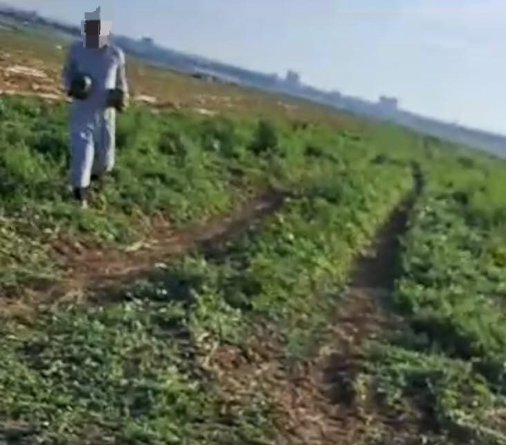 דוברות משטרה