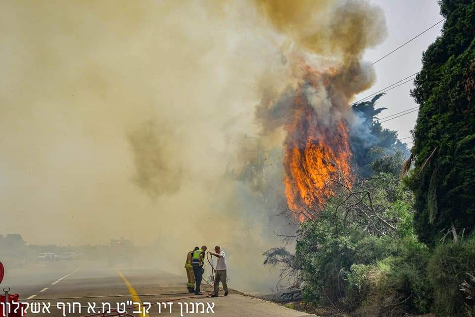 צילום: אמנון זיו
