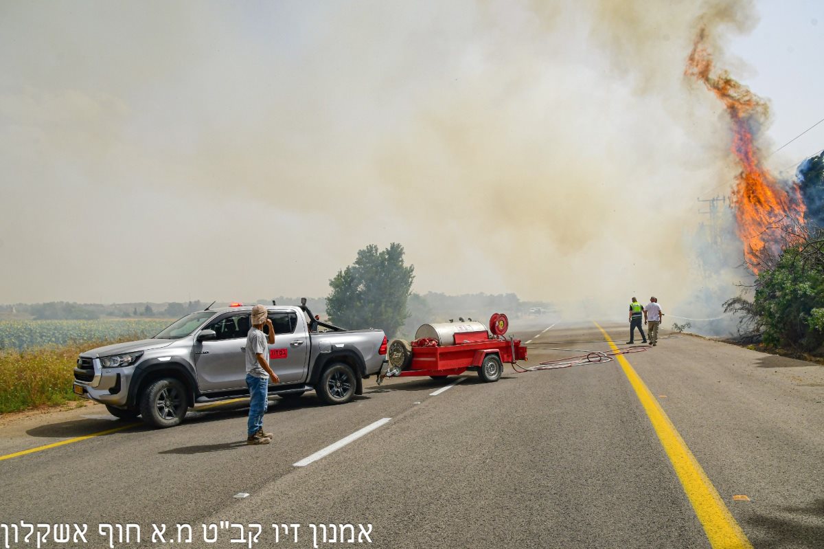 צילום אמנון זיו