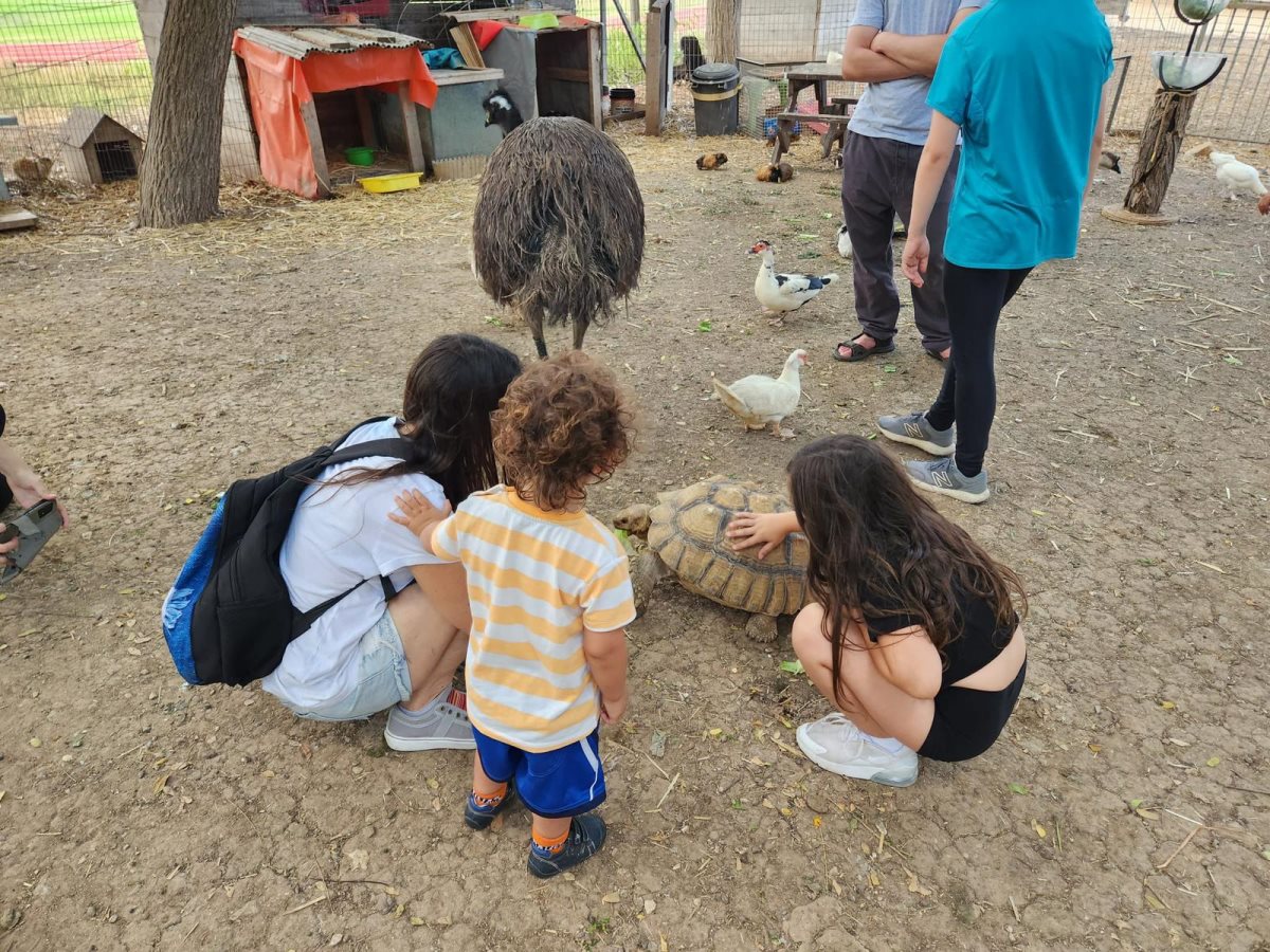 תמונות באדיבות המועצה.