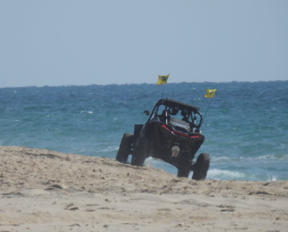 קרדיט: רשות הטבע והגנים