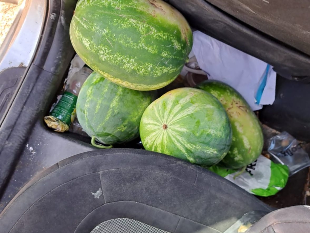 דוברות משטרה