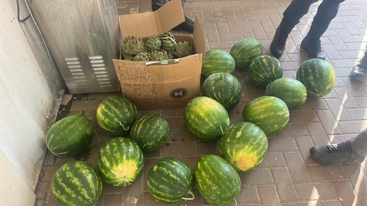 דוברות משטרה