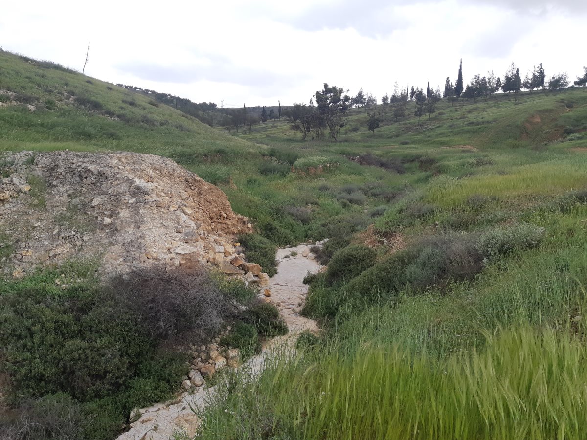 תמונה לא נבחרה