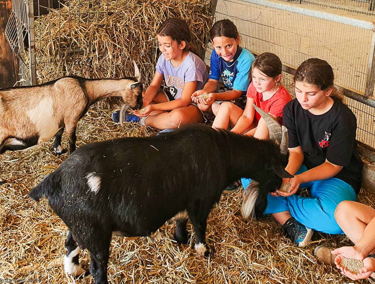 קרדיט צילום: תרצה רגב הראל